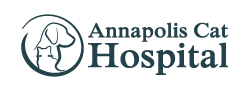 Annapolis Cat Hospital